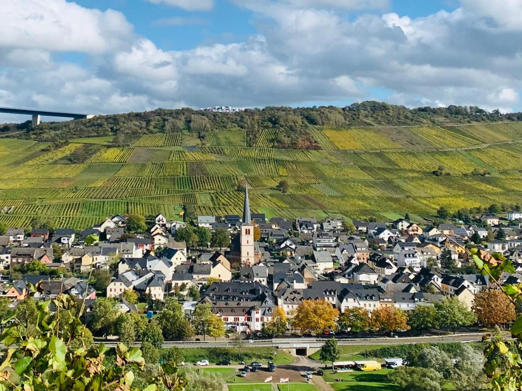 Weinhof Michael Morbach 호텔 젤틴겐라티그 외부 사진