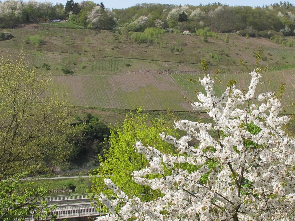Weinhof Michael Morbach 호텔 젤틴겐라티그 외부 사진